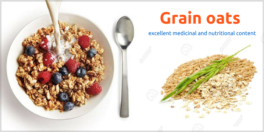 Grain oats for hair loss and more by trusted exporter in India